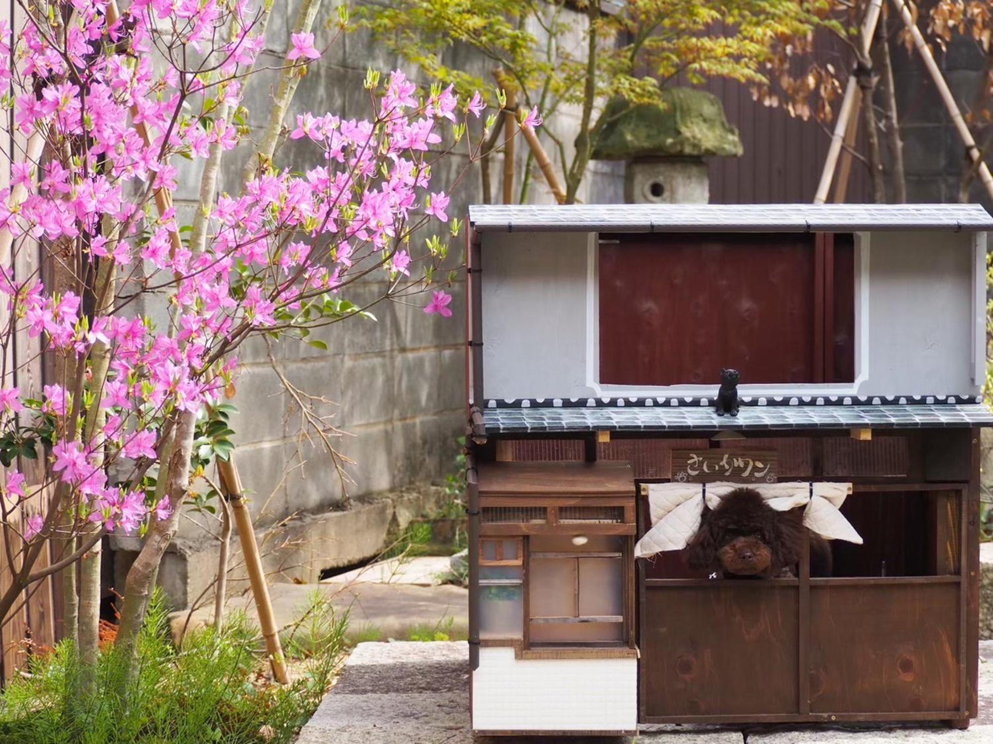 古民家の宿宰嘉庵 Traditionaljapanisehotel Saikaan Майдзуру Екстер'єр фото