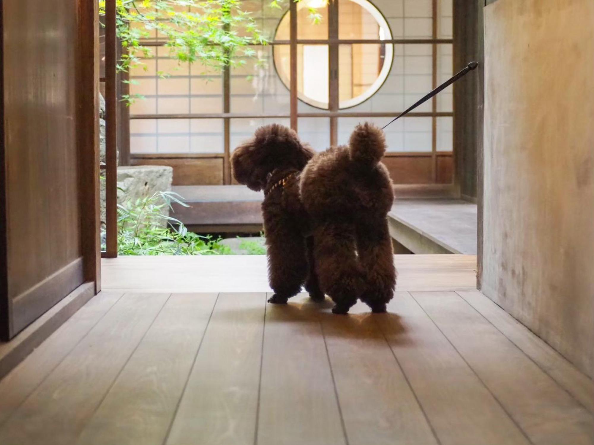 古民家の宿宰嘉庵 Traditionaljapanisehotel Saikaan Майдзуру Екстер'єр фото